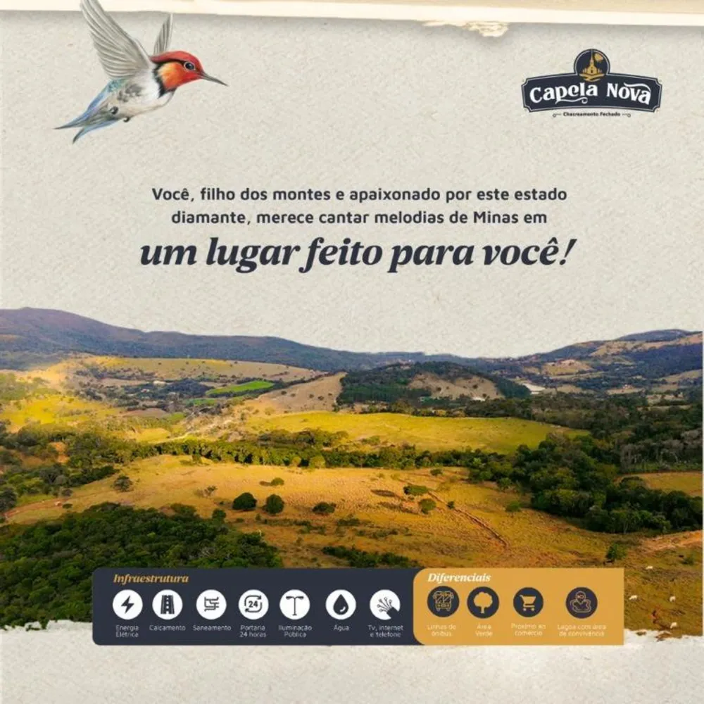 Sítio, 1 quarto, 108465 m² - Foto 16