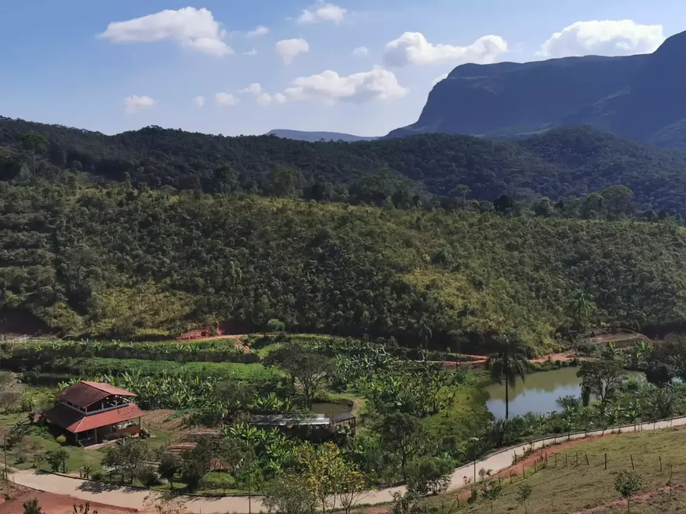 Fazenda, 11 quartos - Foto 5