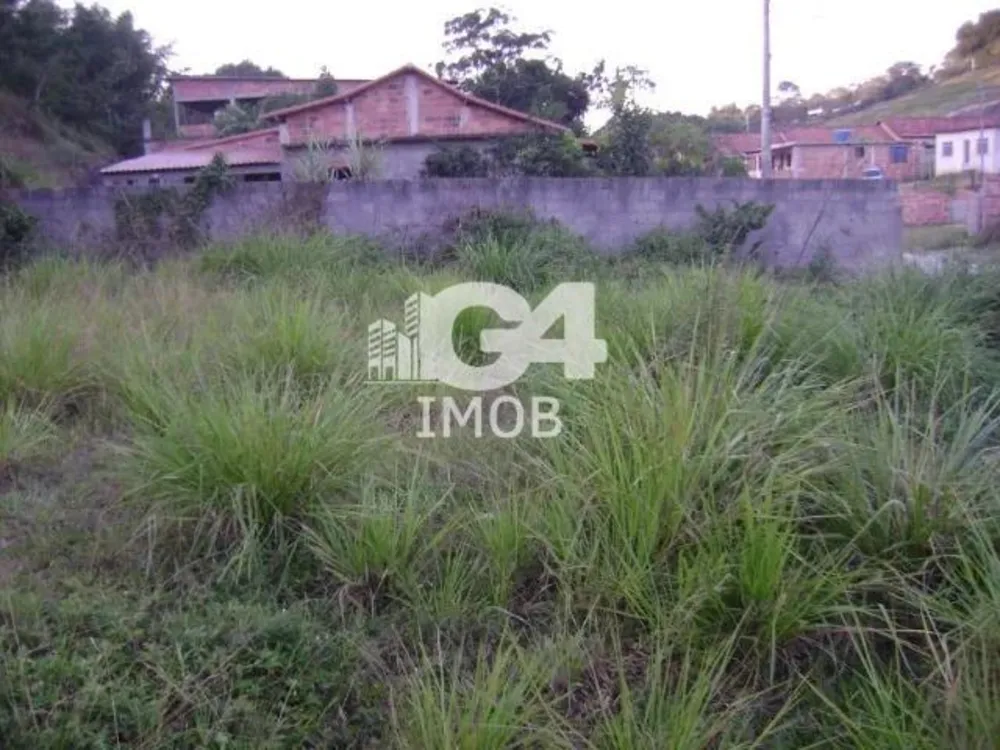 Terreno, 3672 m² - Foto 6