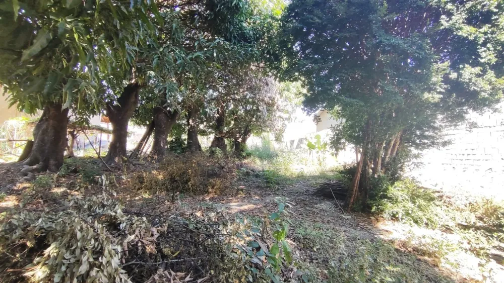 Terreno, 400 m² - Foto 4
