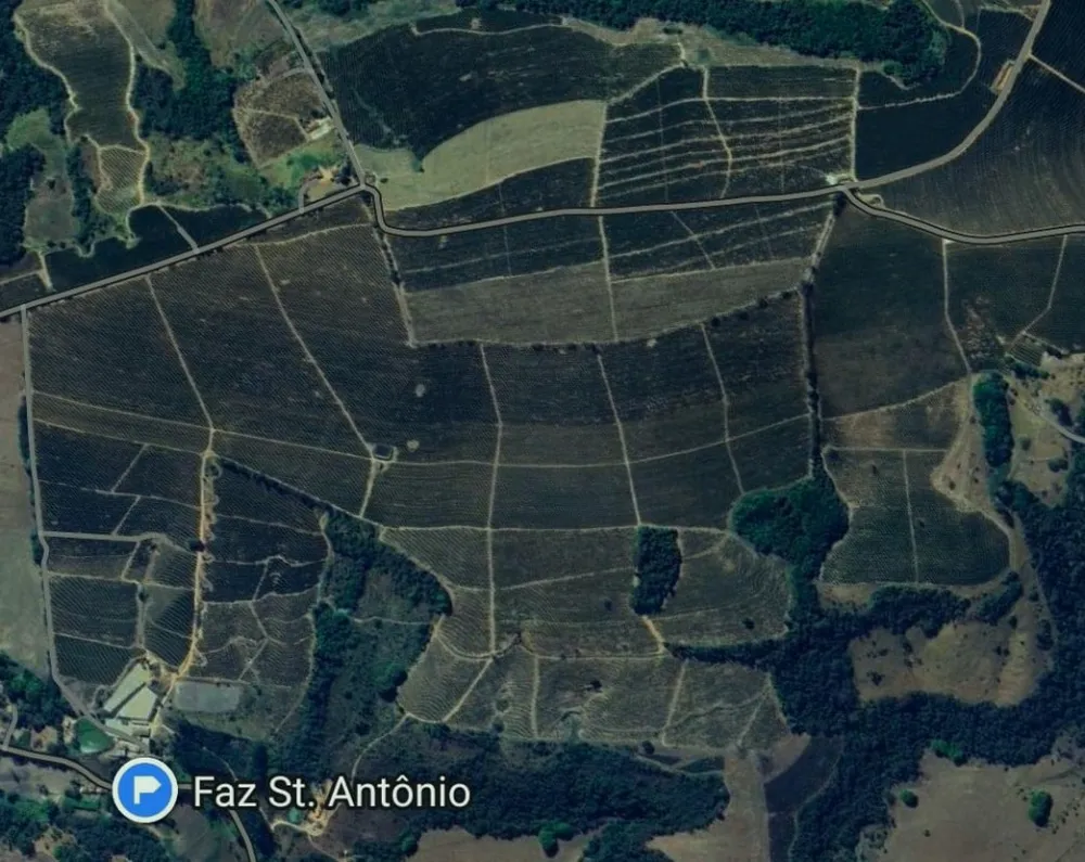 Fazenda, 140 hectares - Foto 15