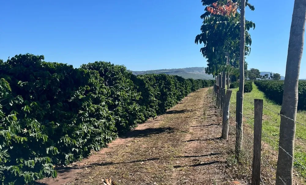 Fazenda, 140 hectares - Foto 4