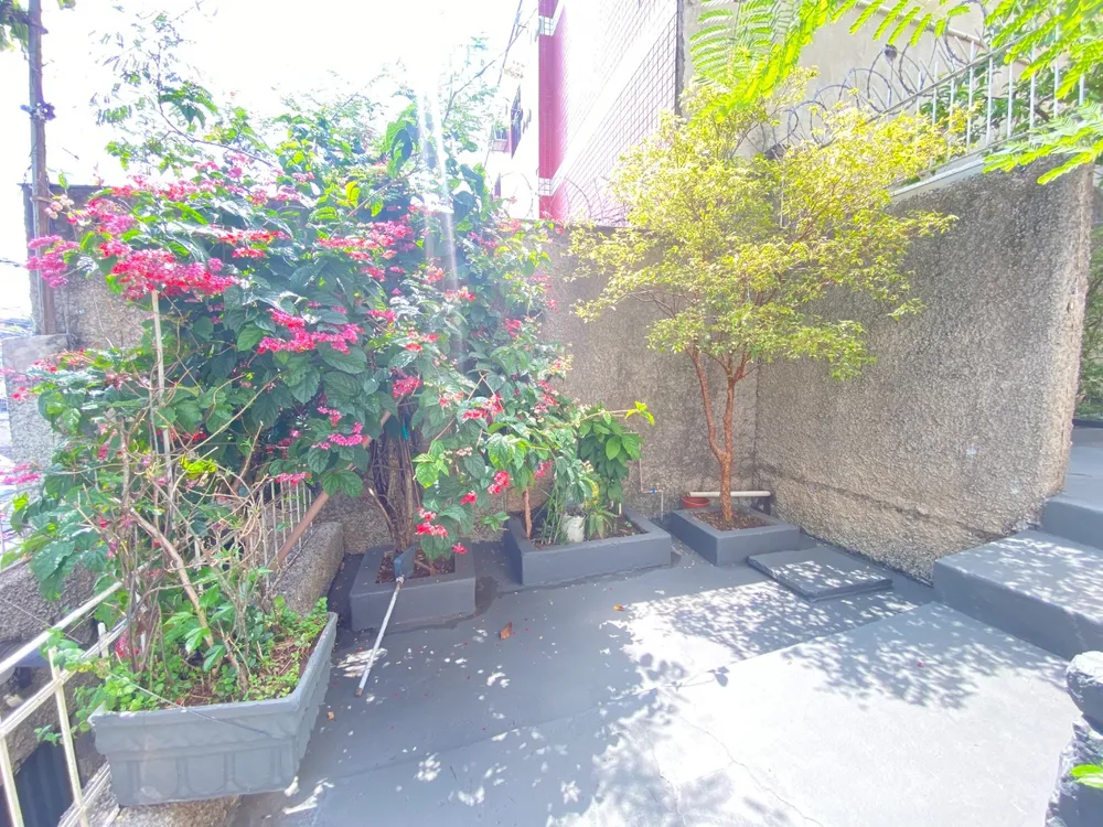 Casa, 4 quartos, 278 m² - Foto 3