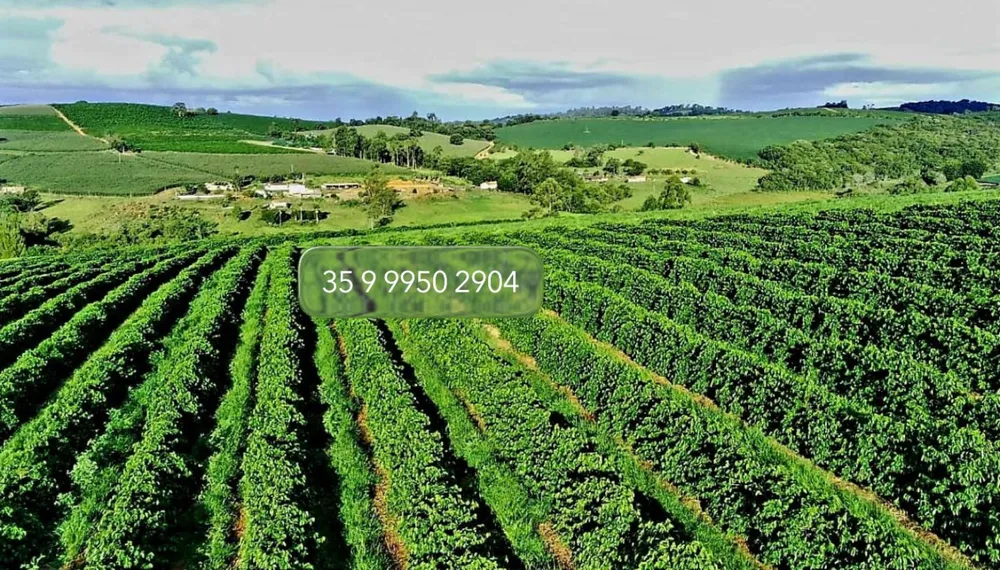 Fazenda, 97 hectares - Foto 19