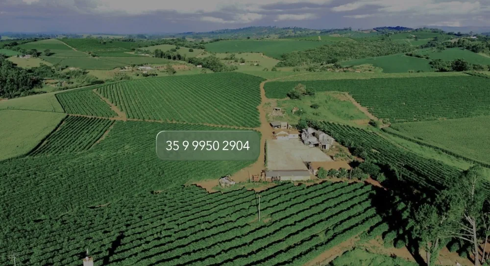 Fazenda, 97 hectares - Foto 3