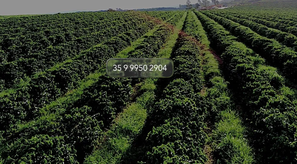 Fazenda, 97 hectares - Foto 1