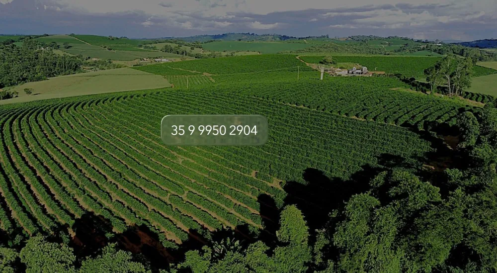 Fazenda, 97 hectares - Foto 12