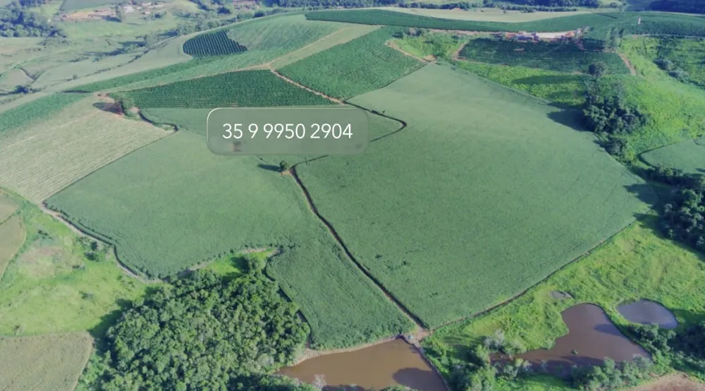Fazenda, 97 hectares - Foto 14