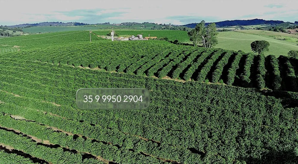 Fazenda, 97 hectares - Foto 11