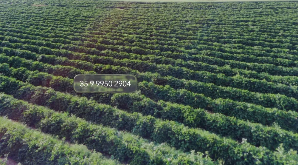Fazenda, 97 hectares - Foto 9