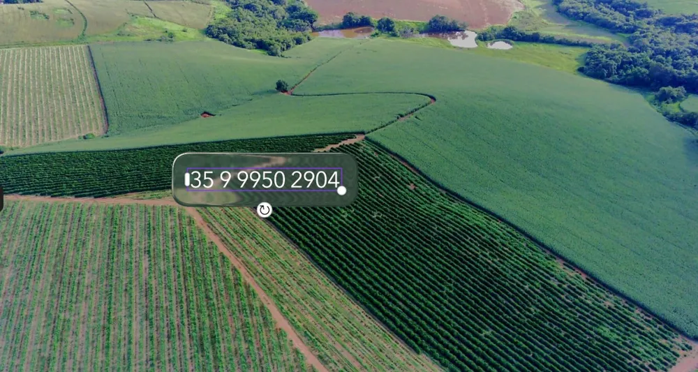 Fazenda, 97 hectares - Foto 15