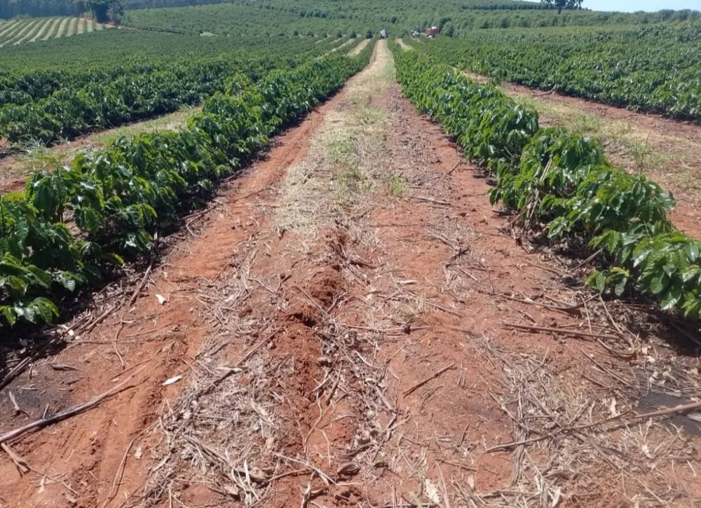 Fazenda, 97 hectares - Foto 22