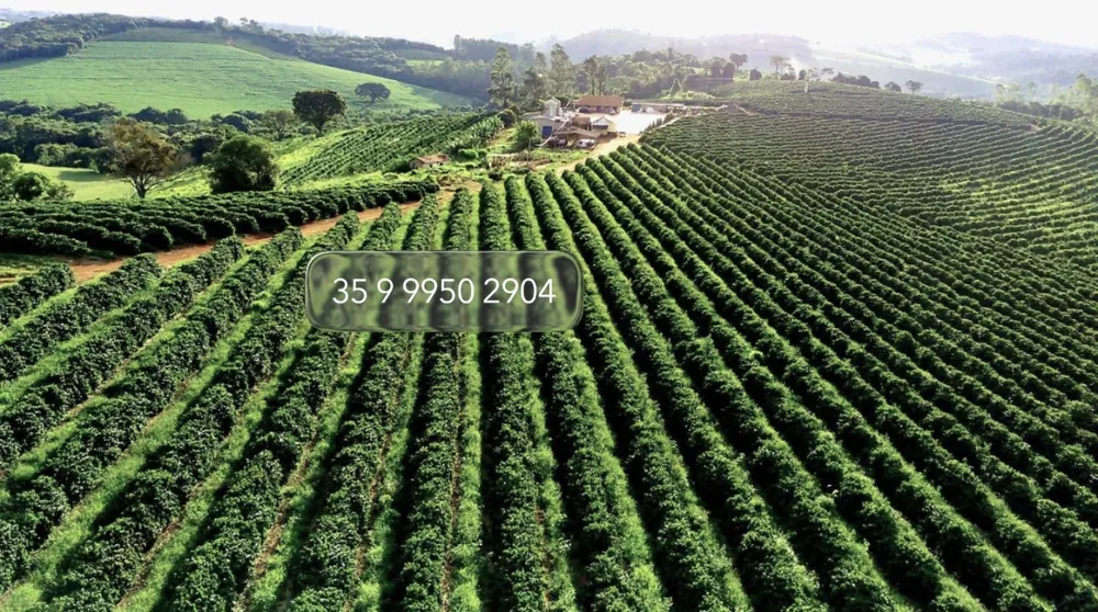 Fazenda, 97 hectares - Foto 6