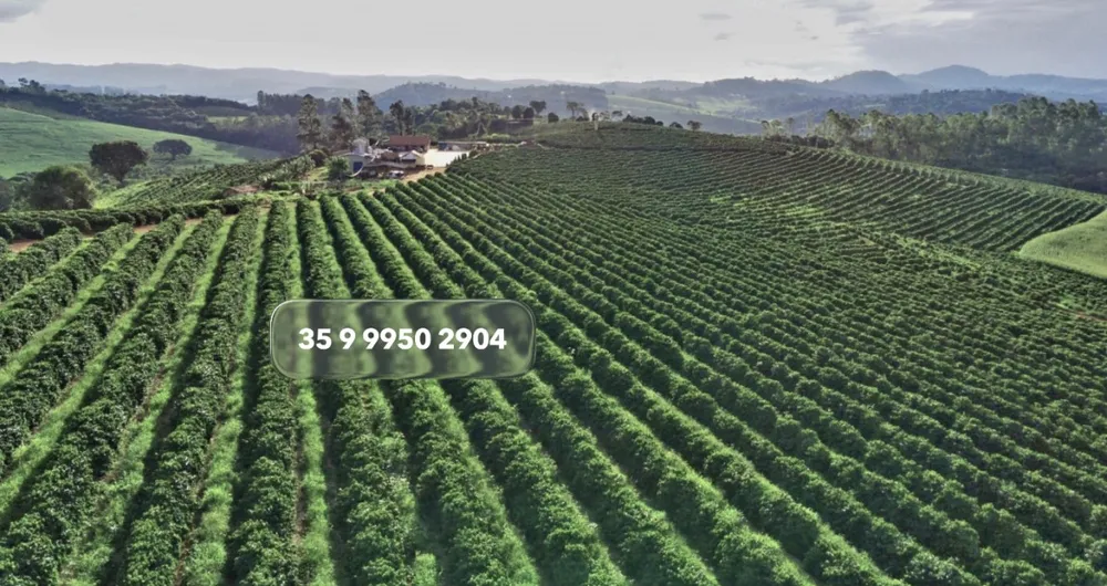 Fazenda, 97 hectares - Foto 8