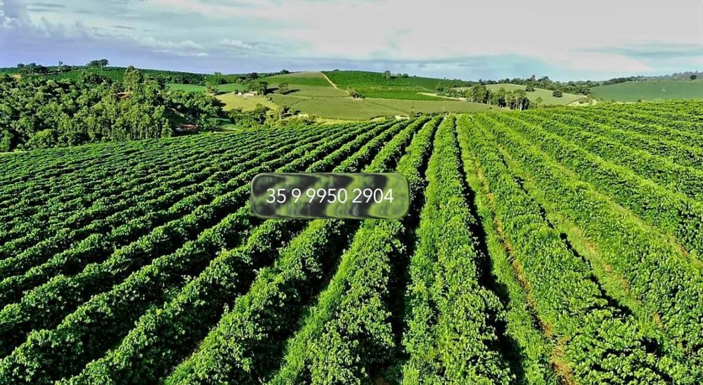 Fazenda, 97 hectares - Foto 20