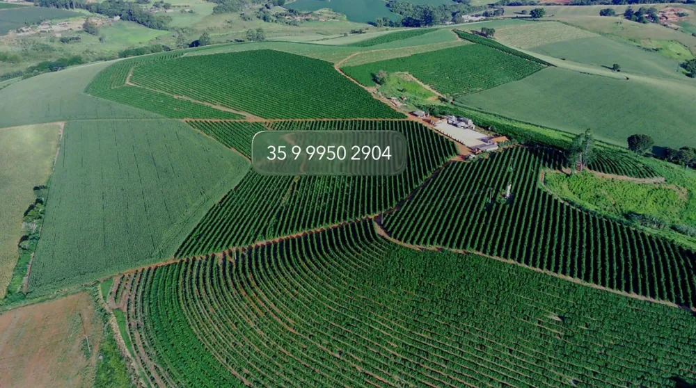 Fazenda, 97 hectares - Foto 4