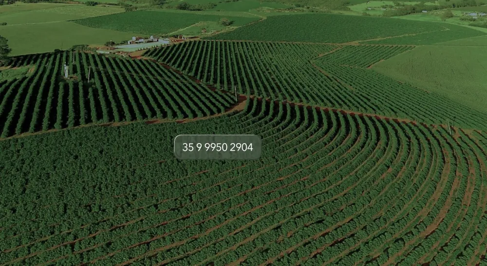 Fazenda, 97 hectares - Foto 2