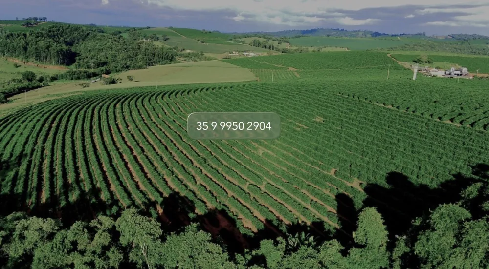 Fazenda, 97 hectares - Foto 17