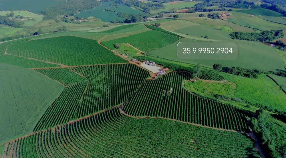 Fazenda, 97 hectares - Foto 4