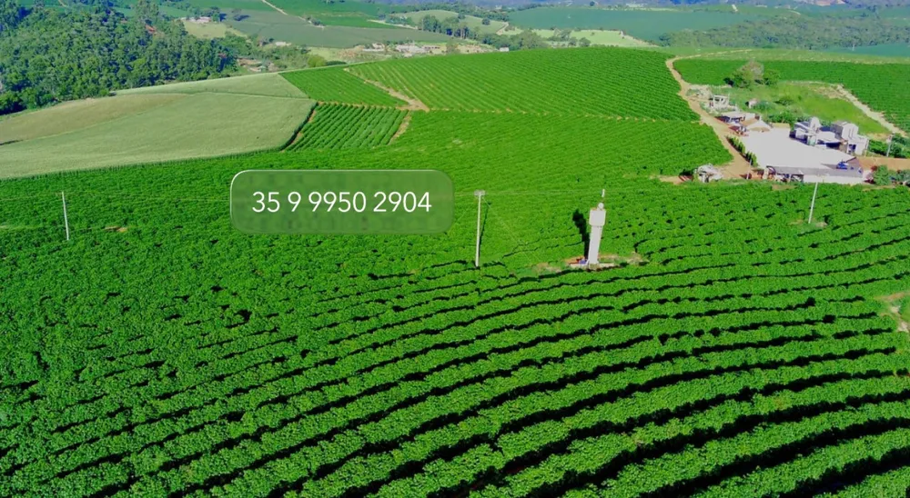 Fazenda, 97 hectares - Foto 7