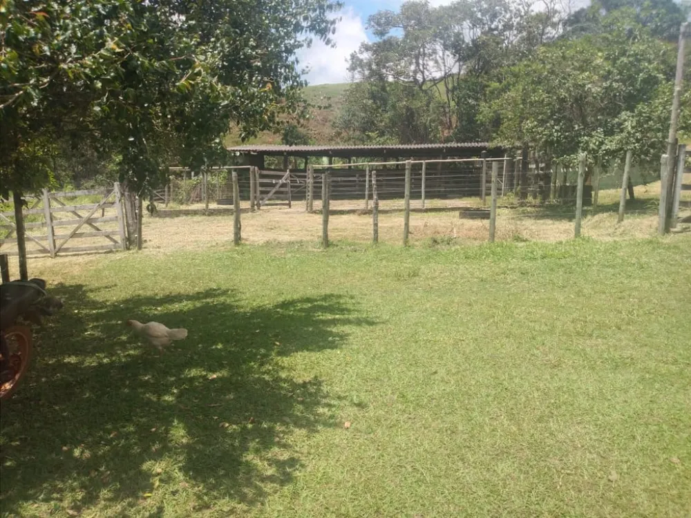 Chácara, 3 quartos, 2 hectares - Foto 5