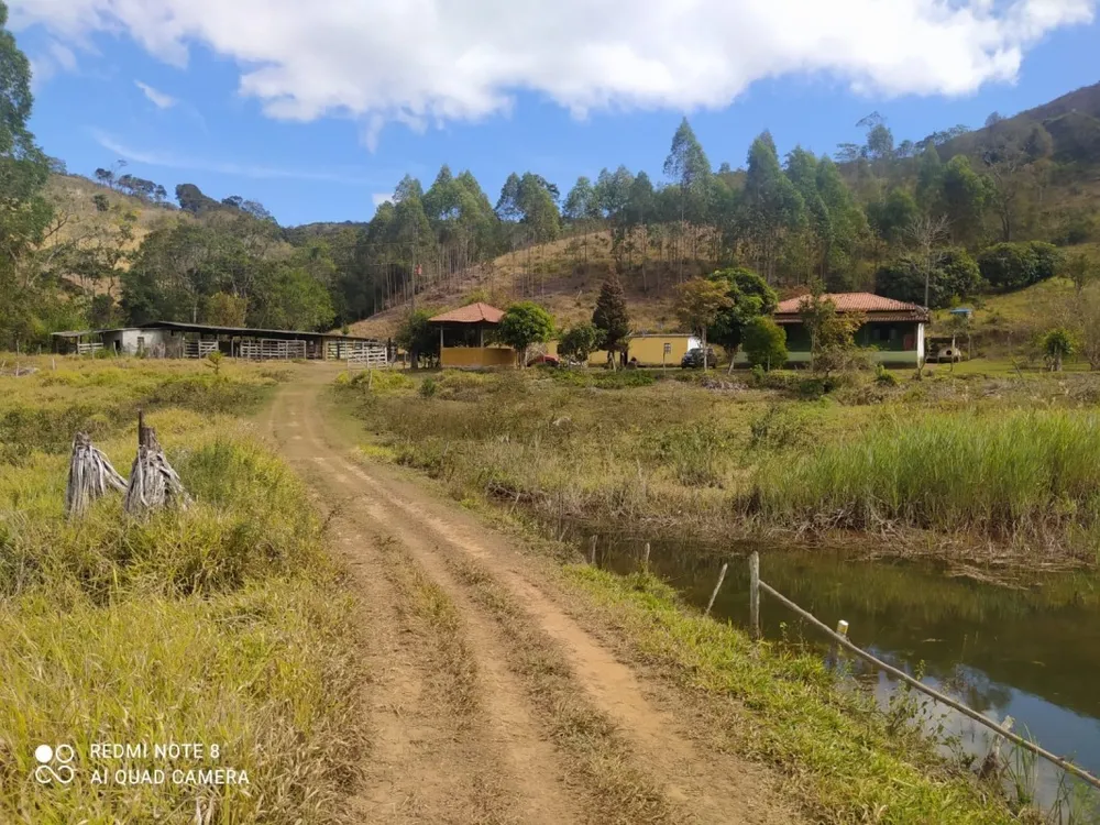 Chácara, 3 quartos, 2 hectares - Foto 4