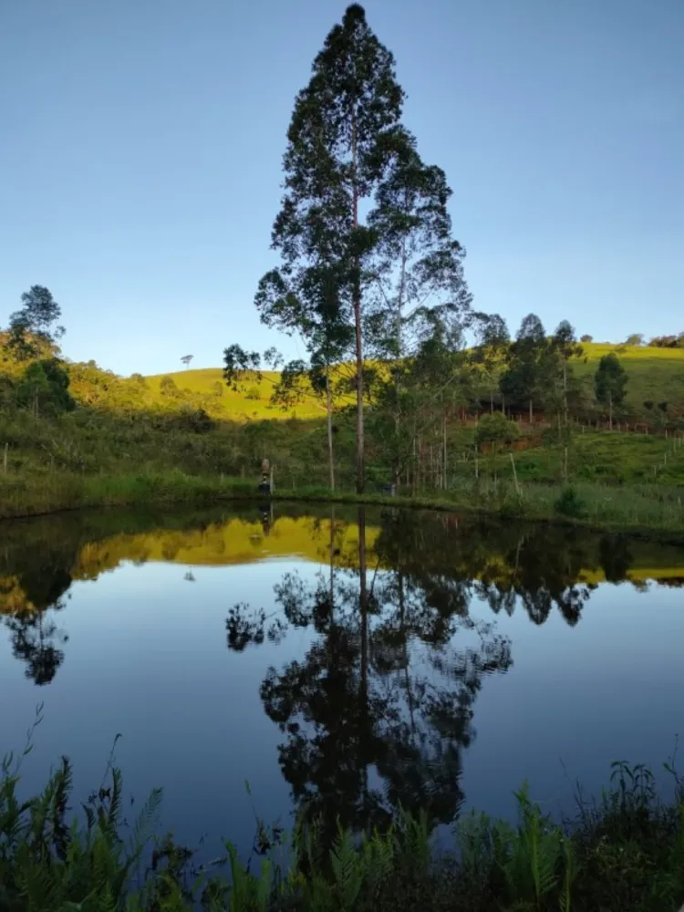 Fazenda, 2 hectares - Foto 14