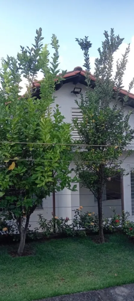 Casa, 3 quartos, 283 m² - Foto 1