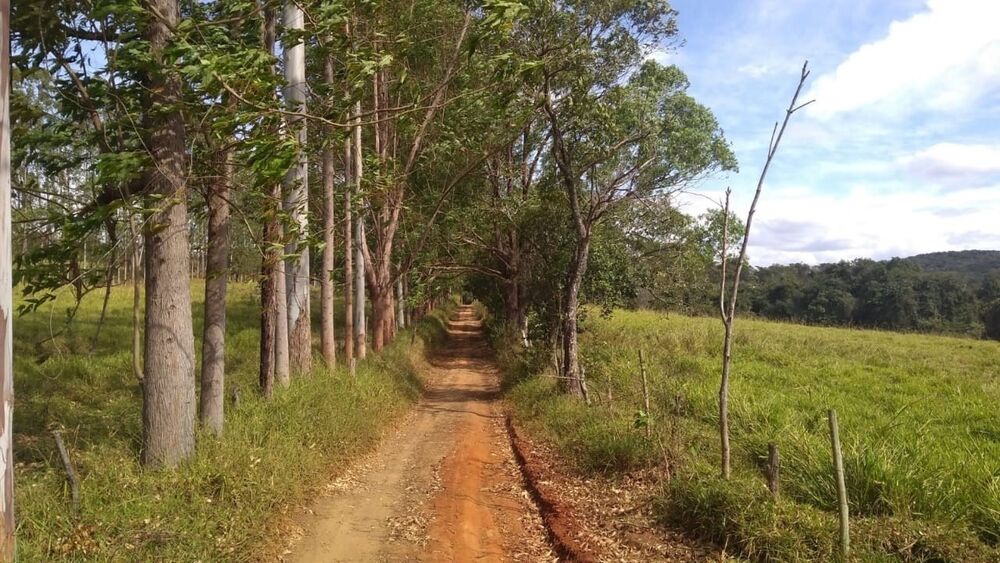 Fazenda à venda com 4 quartos, 1500000m² - Foto 3