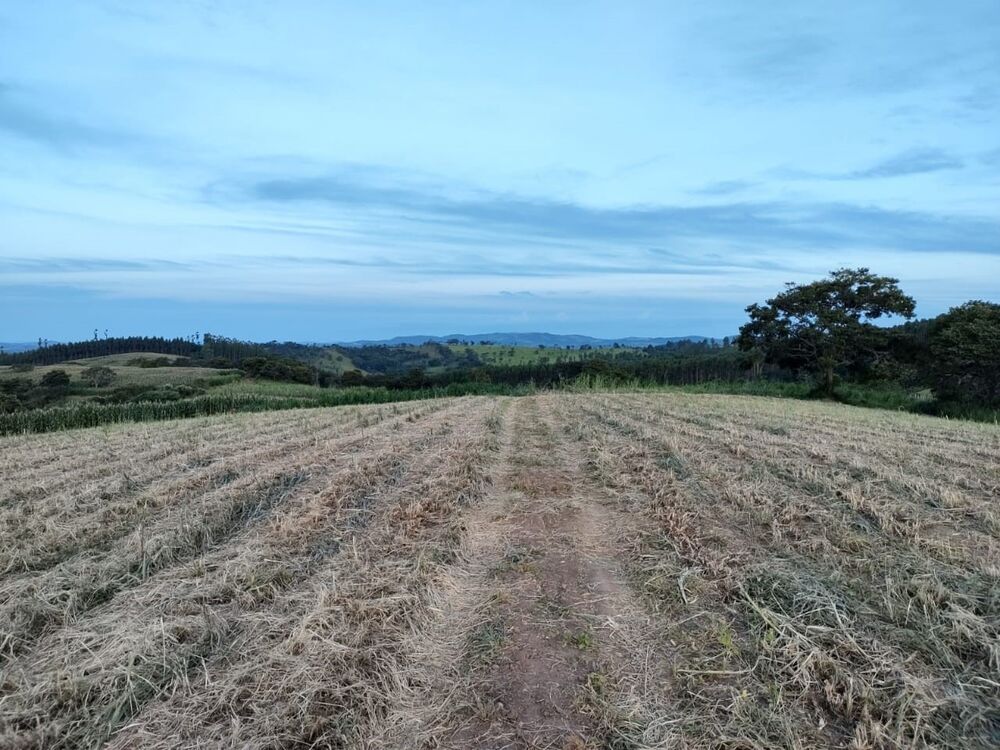 Fazenda à venda com 4 quartos, 1500000m² - Foto 7