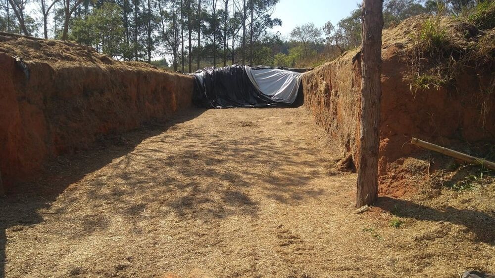 Fazenda à venda com 4 quartos, 1500000m² - Foto 12