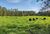 Fazenda, 150 hectares - Foto 2