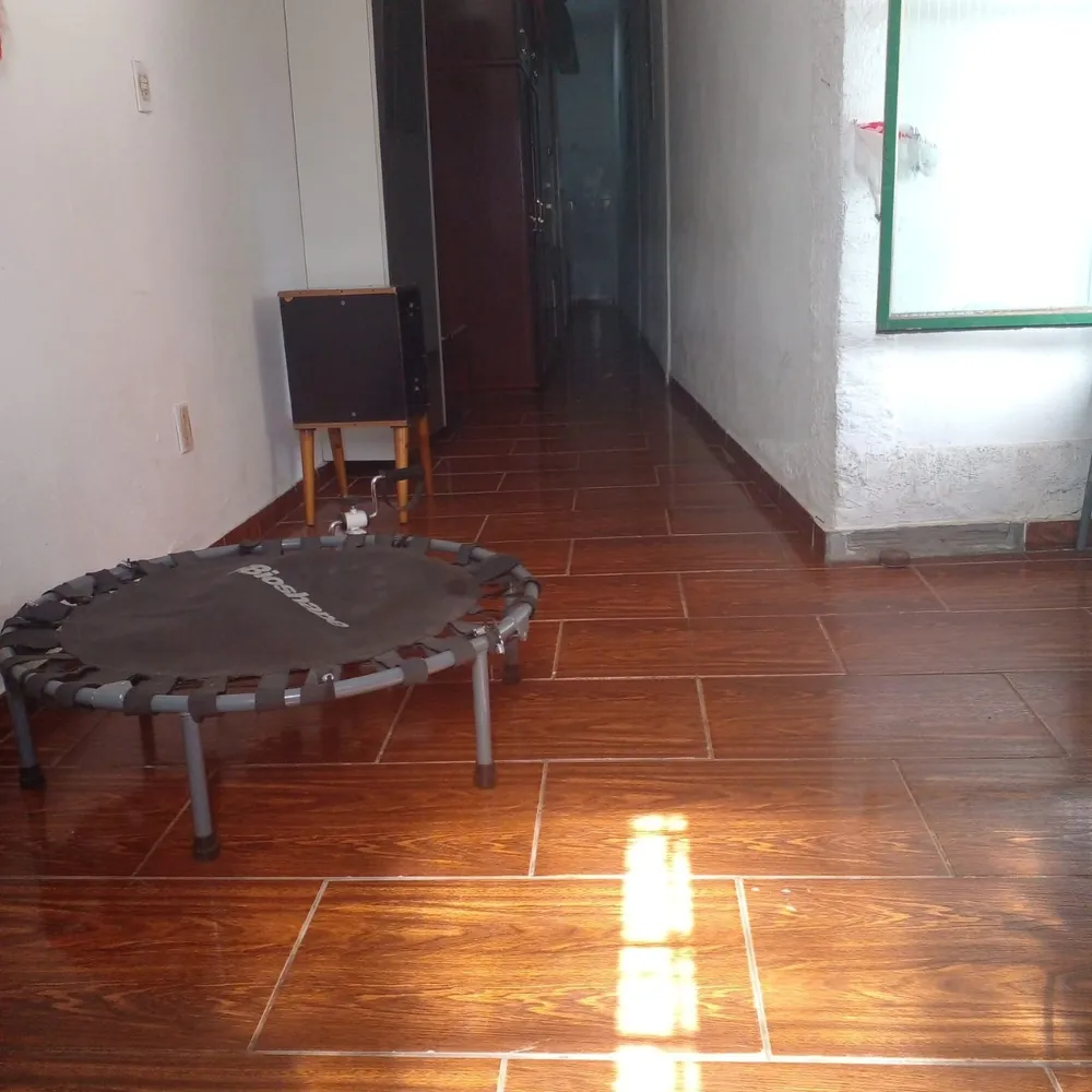Casa, 4 quartos, 300 m² - Foto 3
