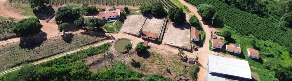 Fazenda, 196 hectares - Foto 3
