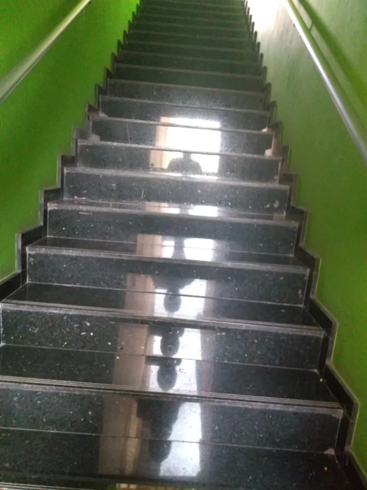 Casa, 4 quartos, 360 m² - Foto 6