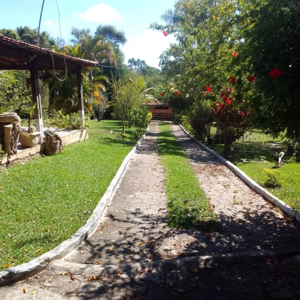 Chácara, 3 quartos, 6000 m² - Foto 5