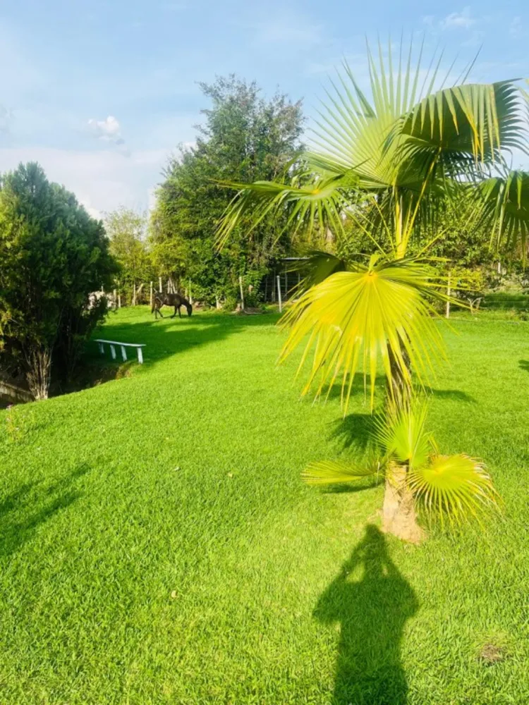 Chácara, 3 quartos, 6000 m² - Foto 8