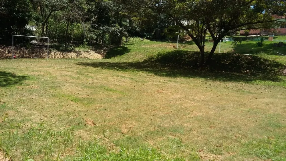 Sítio, 4 quartos, 4980 m² - Foto 6