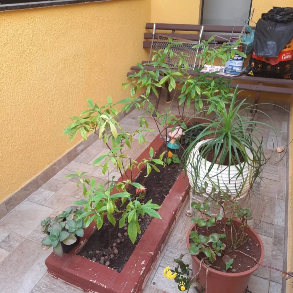 Casa, 2 quartos, 90 m² - Foto 4