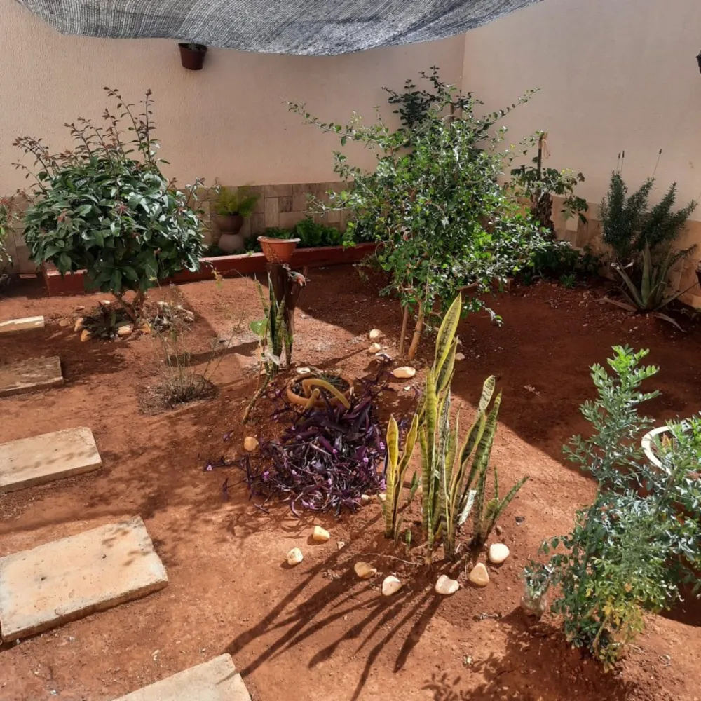 Casa, 2 quartos, 90 m² - Foto 3