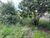 Terreno, 360 m² - Foto 3