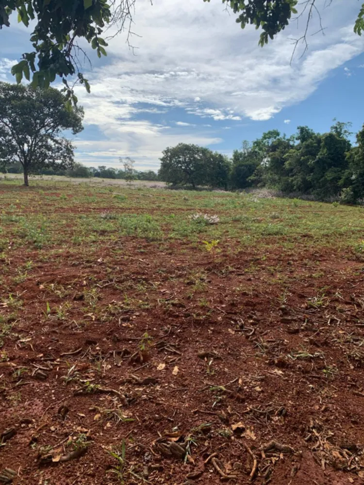 Fazenda, 640 hectares - Foto 17