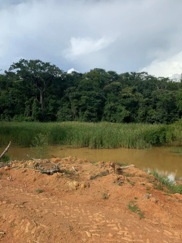 Fazenda, 640 hectares - Foto 2