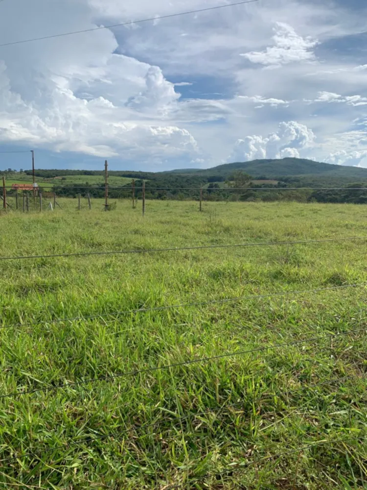 Fazenda, 640 hectares - Foto 7