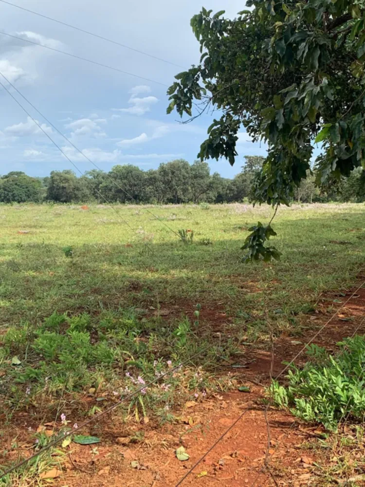 Fazenda, 640 hectares - Foto 11