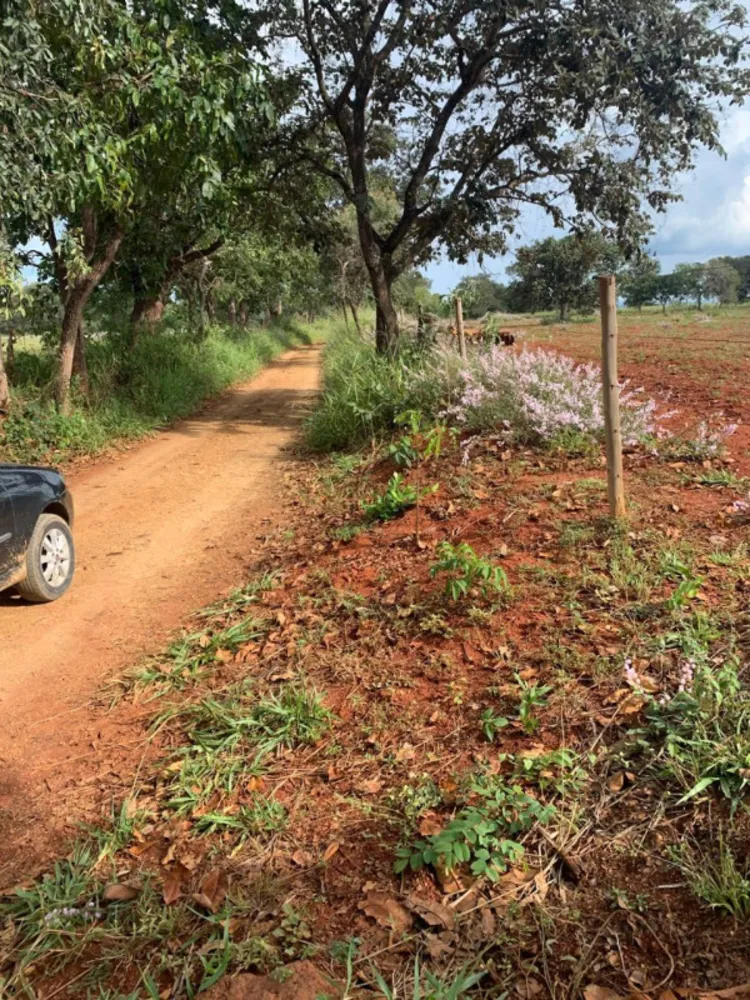 Fazenda, 640 hectares - Foto 16