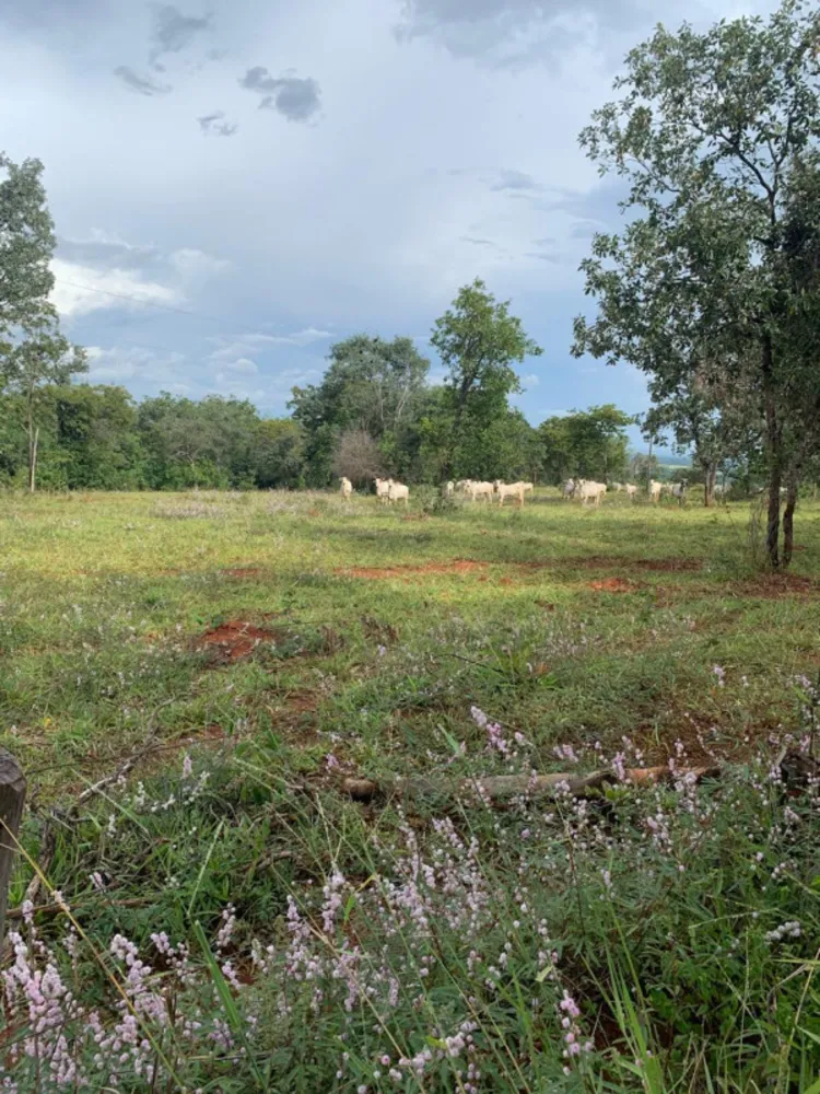 Fazenda, 640 hectares - Foto 12