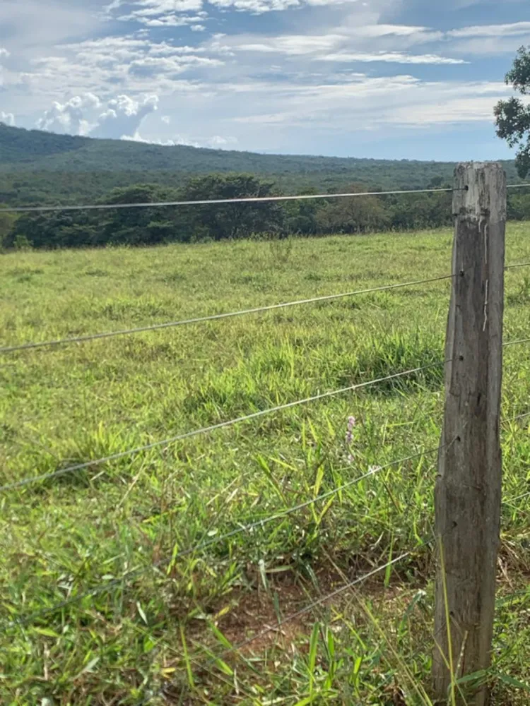 Fazenda, 640 hectares - Foto 10