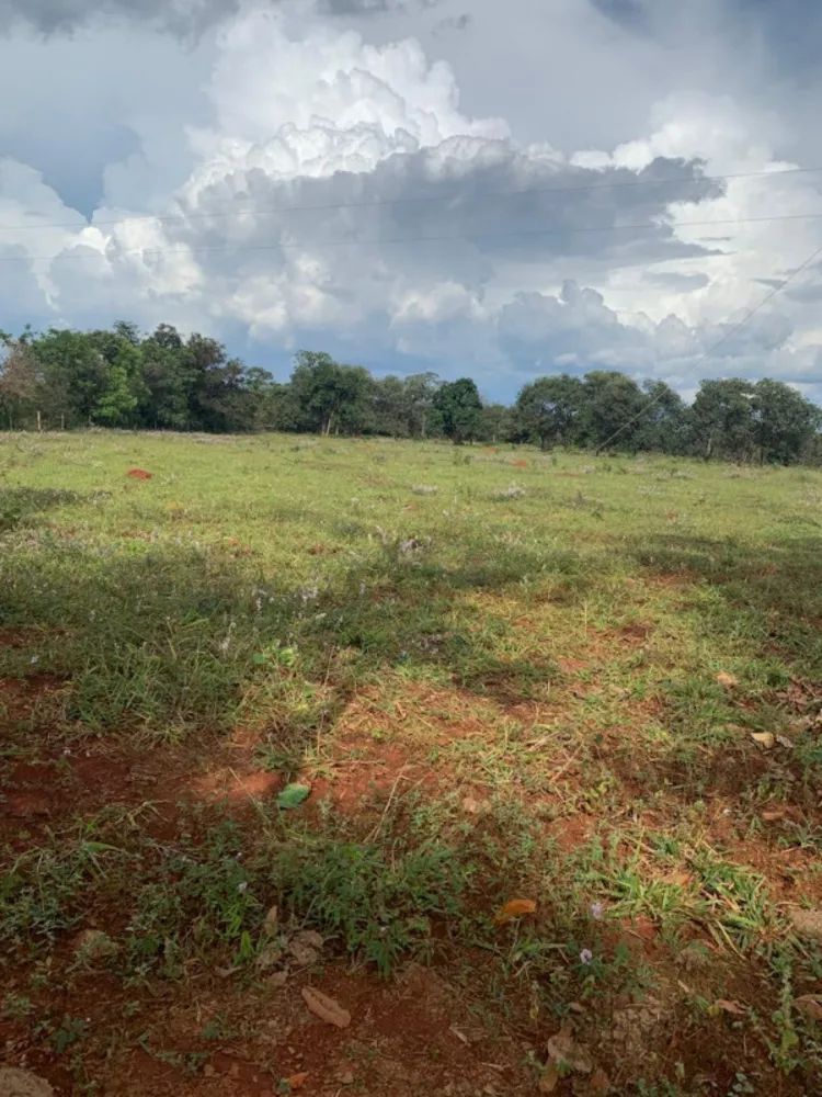 Fazenda, 640 hectares - Foto 13