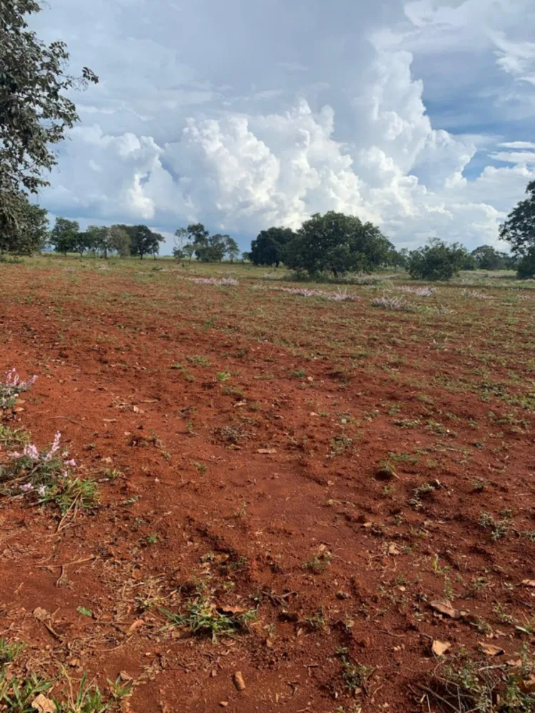 Fazenda, 640 hectares - Foto 15